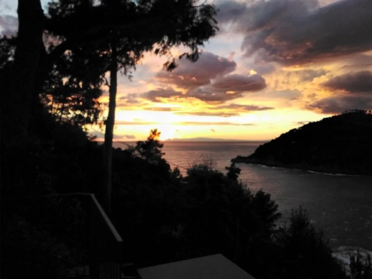 Guest house Villa Mimosa Splendida Vista Mare Bonassola Italy