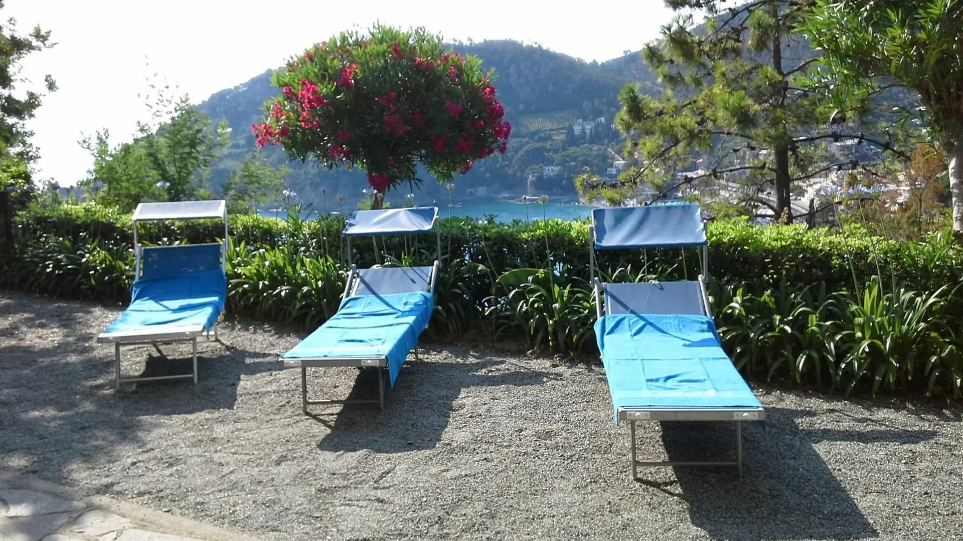 Villa Mimosa Splendida Vista Mare Bonassola Italy