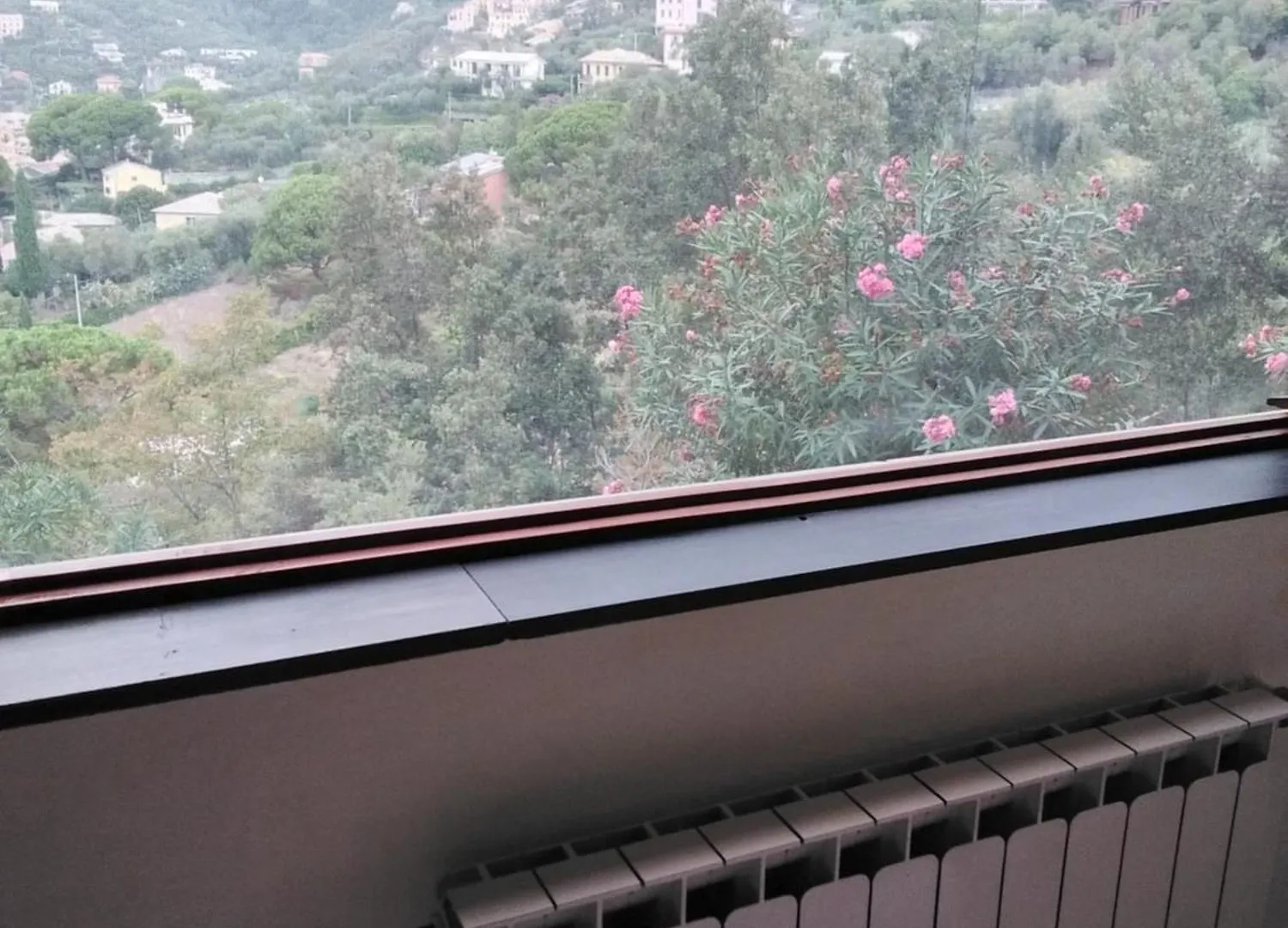 Villa Mimosa Splendida Vista Mare 博纳索拉 0*,  意大利