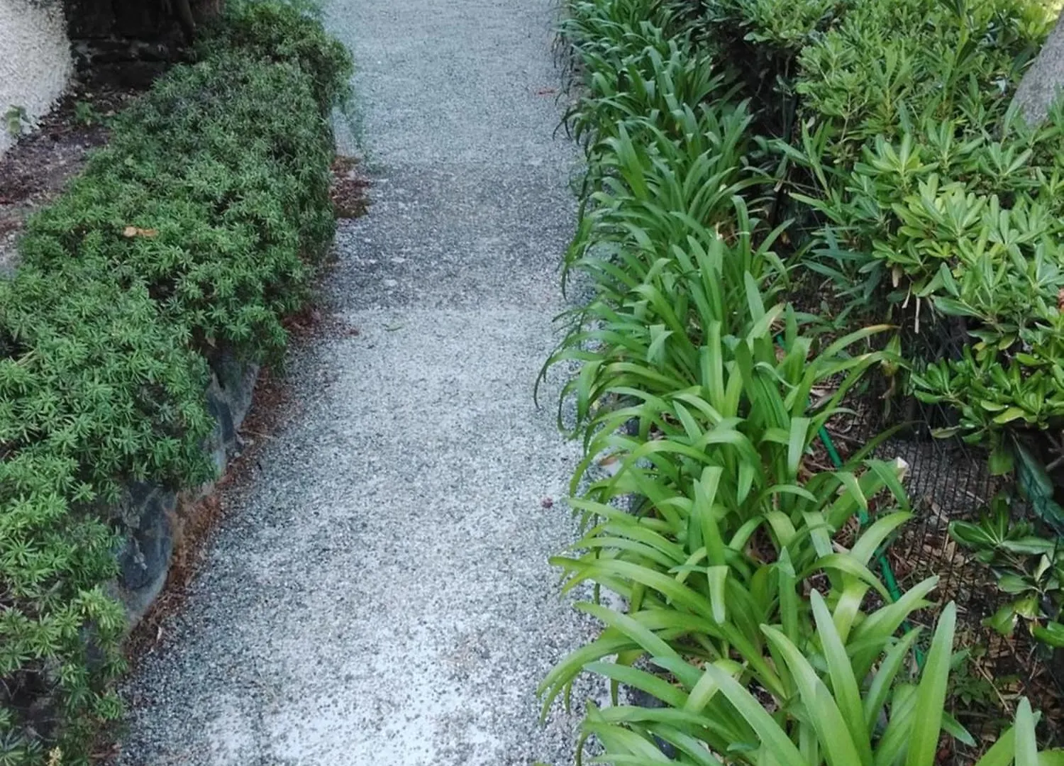 Villa Mimosa Splendida Vista Mare 博纳索拉 招待所